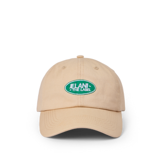 dad cap, baseball cap, landrover logo, hot girl walk hat, 6 panel cap